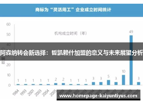 阿森纳转会新选择：哲凯赖什加盟的意义与未来展望分析
