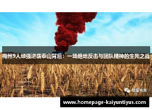 梅州9人顽强逆袭泰山背后:一场绝地反击与团队精神的生死之战 梅州9人顽强逆袭泰山背后:一场绝地反击与团队精神的生死之战